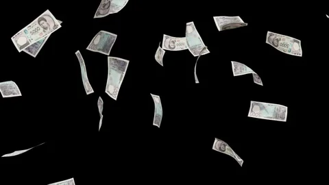 Banknotes dollars bills falling and flying on green screen Stock Footage 316722287