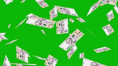 Banknotes dollars bills falling and flying on green screen Stock Footage 316722472