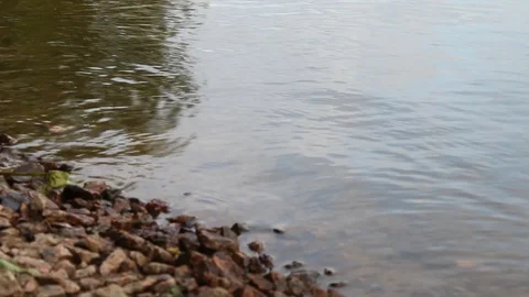 On the banks of the city river Stock Footage 112284428