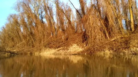 Banks of Danube river Stock Footage 104564842