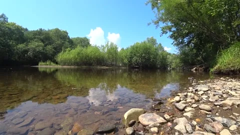 On the banks of a mountain stream, a river in a wild forest Stock Footage 146729684