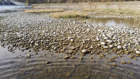 Banks of the river adda Stock Footage 106025460