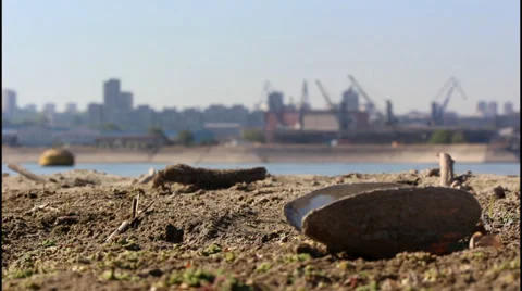 Banks of the river, cranes Video stock 32259915