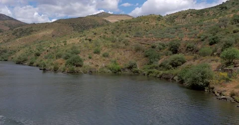 Banks of the river Douro - Margens do rio Douro Stock Footage 77568217