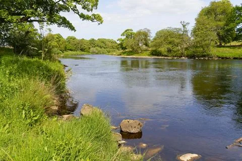 On the banks of the River North Tyne. Stock Photos