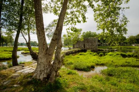 On the banks of the river Foto stock
