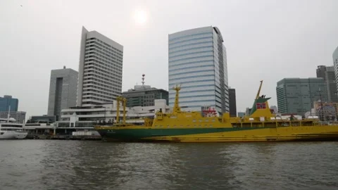 Banks of the Sumida river in Tokyo Stock Footage 101718758