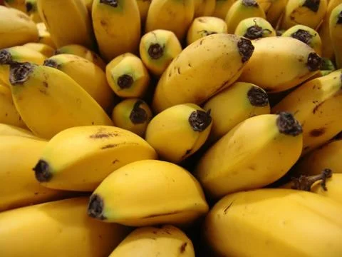 Bannanas Stock Photos