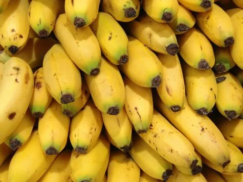 Bannanas 스톡 사진