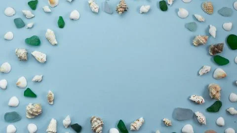 Banner Different sea shells on gray background Top view flat lay Stock Photos