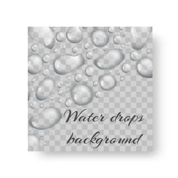Banner with drops of dew Stock Illustration