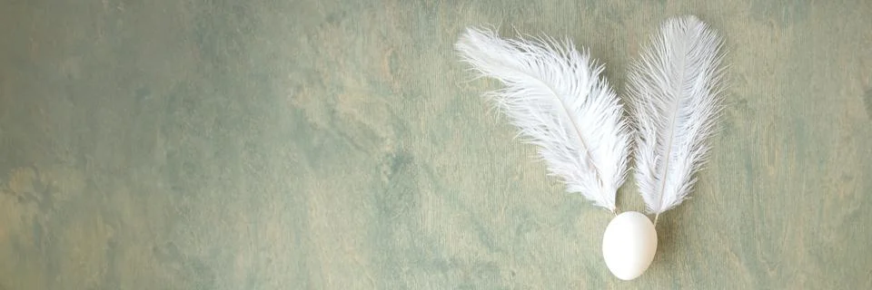 Banner of Easter background, egg and white feathers in form of hare on gree.. Stock Photos