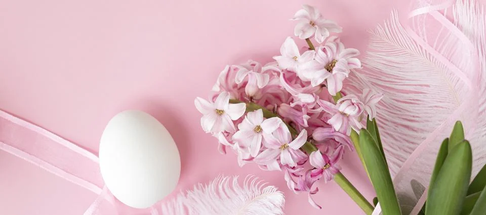 Banner with Easter background with white egg and pink hyacinth flowers, with Stock Photos