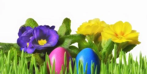 Banner with easter eggs and flowers Stock Photos