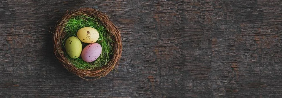 Banner. Easter quail painted eggs in a nest on a wooden background. An East.. Stock Photos