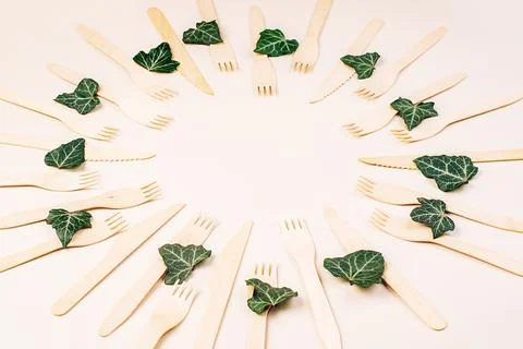 Banner eco friendly disposable kitchenware utensils on white background.Wooden Stock Photos