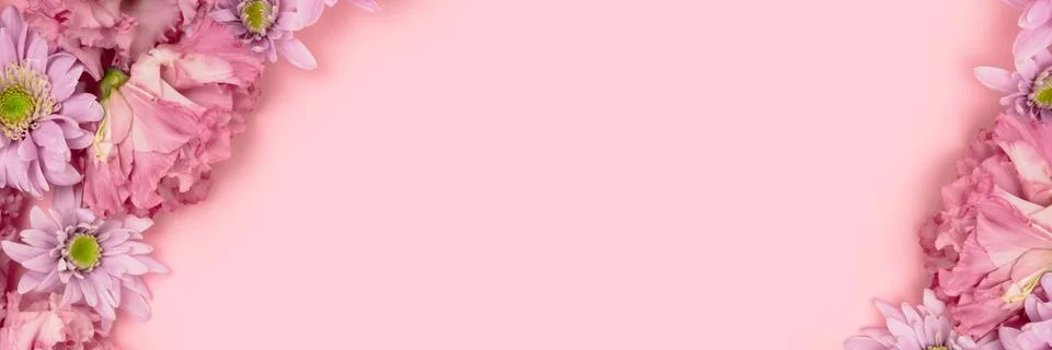 Banner with eustoma and aster flower texture on a pink pastel background. Stock Photos