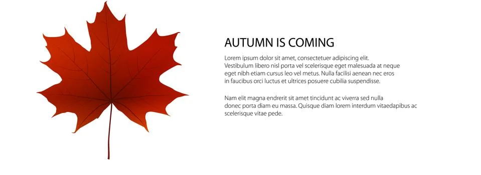 Banner of fall red maple leaf Stock Illustration