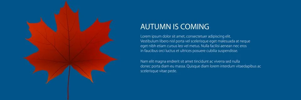 Banner of fall red maple leaf Stock Illustration