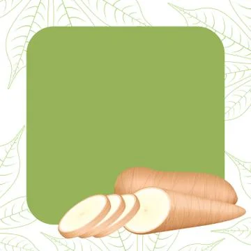 Banner frame of cassava fresh for copy space, cassava cut slice for tapioca f Stock-Illustration