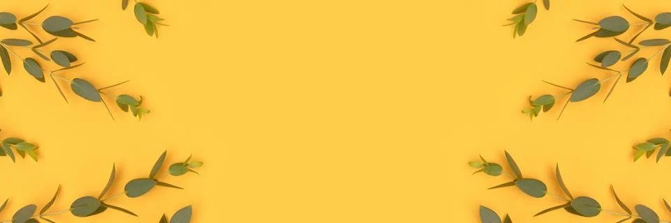 Banner with frame made of eucalyptus branches on a yellow background. Stock Photos