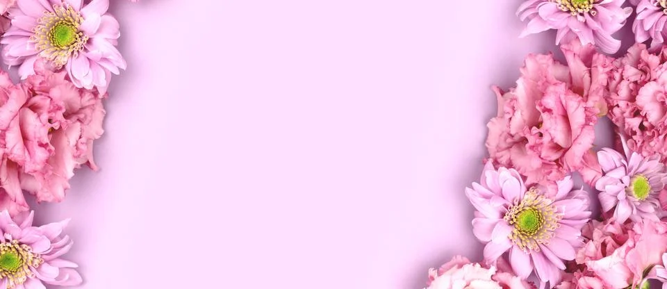 Banner with frame made of eustoma and aster flowers on a purple background. Stock Photos