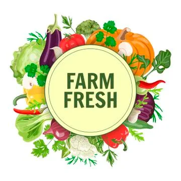 Banner with fresh vegetables.  Stock Illustration