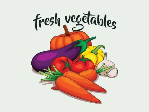 Banner with fresh vegetables vector. Concept healthy food. tomatoes, carrots, Stock Illustration