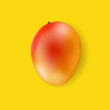 Banner With Fruit Mango Stock Illustration