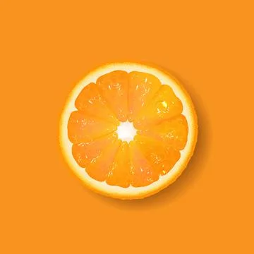 Banner With Fruit Orange Stock Illustration