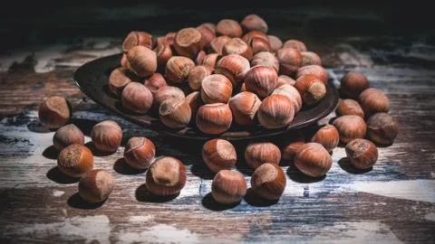 Banner. Hazelnut nuts on a dark background. Low key lighting. Stock Photos
