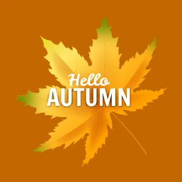 Banner Hello Autumn leaf template background. Yellow and brown colorful leaves Stock Illustration