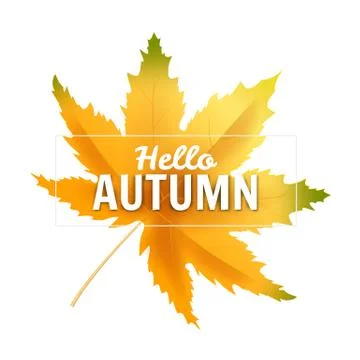 Banner Hello Autumn leaf template background. Yellow and brown colorful leaves Stock Illustration