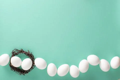 A banner with an image of eggs on a light blue background. Space for text. Stock Photos
