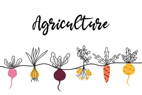 Banner or background with vegetables . Stock Illustration