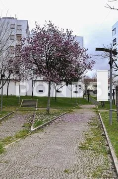 Banner on the park Mockup Template PSD