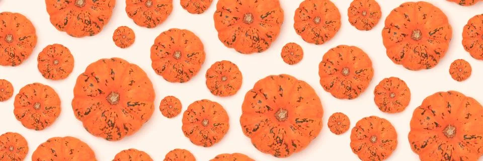 Banner with pattern made of decorative orange pumpkin. Stock Photos