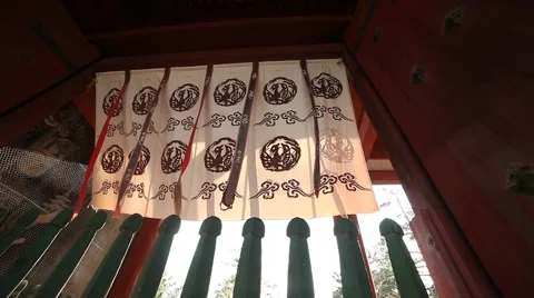 Banner with phoenix Stock Footage 46179992