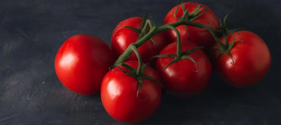 Banner of red ripe tomatoes on dark background. Stock Photos