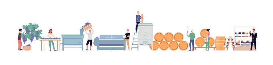 Banner showing process of winemaking flat vector illustration isolated. 스톡 일러스트