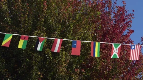 Banner string of national flags flutter in breeze against autumn trees Video stock 324943792