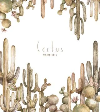 Banner, template for cards with cactuses . image of brown cacti frame. Cute Stock Illustration