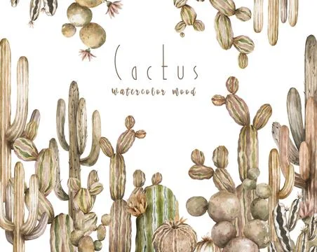 Banner, template for cards with cactuses . image of brown cacti frame. Cute Stock Illustration