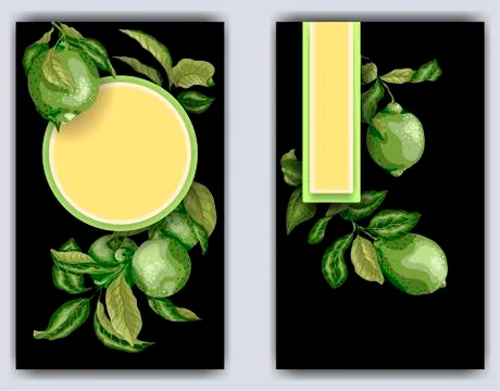 Banner template with citrus branches  of lime tree. Black bacjground with cit Stock Illustration