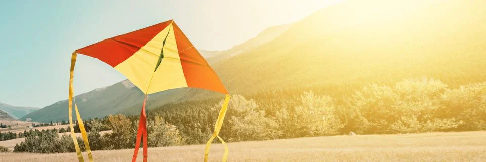 Banner with Triangular kite soars into the sky over hills. Soft focus, toned Foto stock