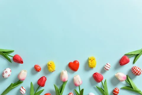 A banner with tulips and Easter eggs. Copy space. Flat lay, top view. Stock Photos