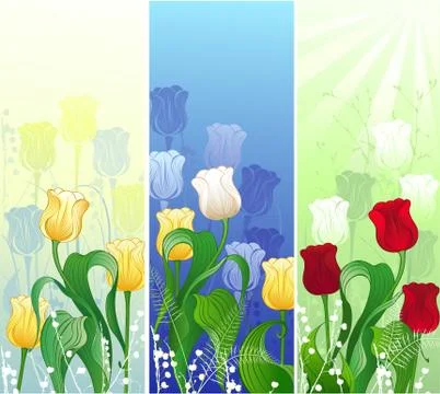 Banner with tulips Stock Illustration