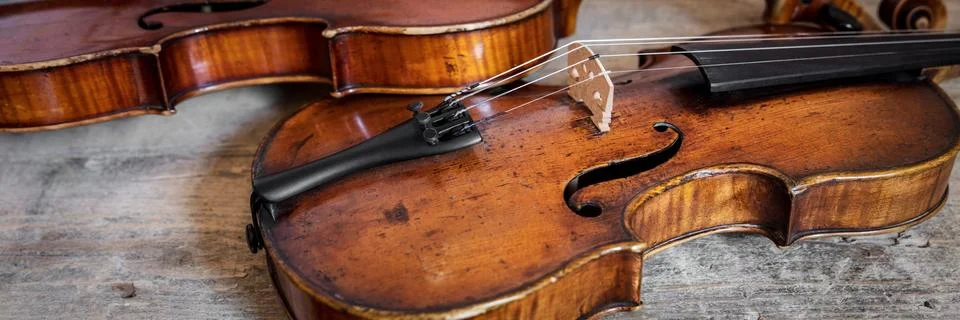 Banner with two violinas Fotos Stock