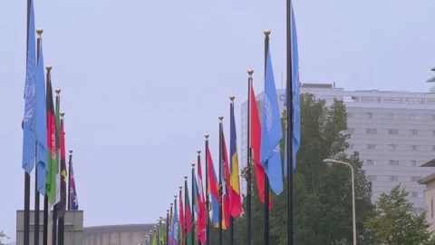 Banner of UN, colorful array of flags from various United Nations member st.. Stock Footage 250531531