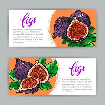 Banners of delicious figs Stock Illustration